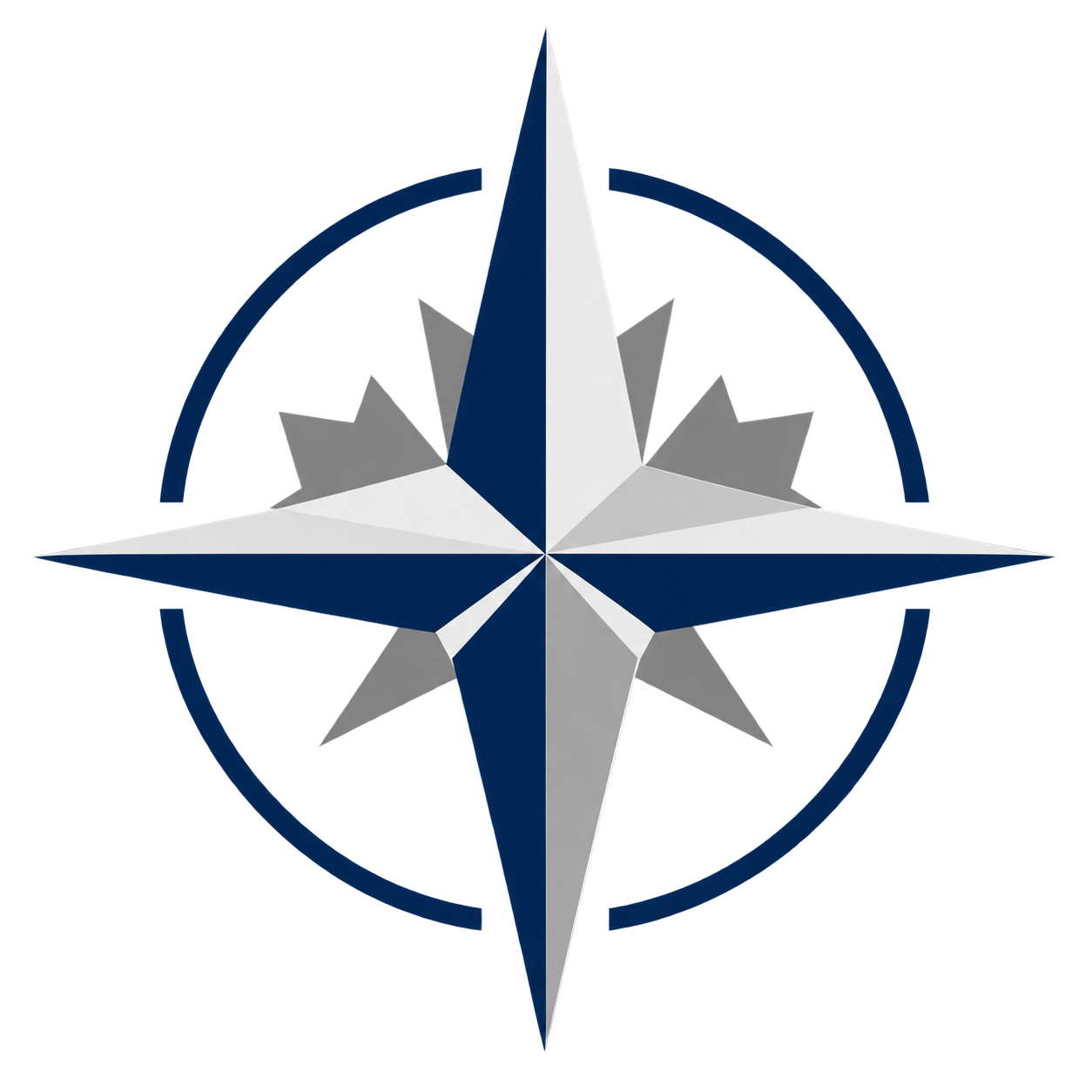 DualSure compass logo